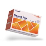 Moovit Pro – wsparcie dla psów aktywnych