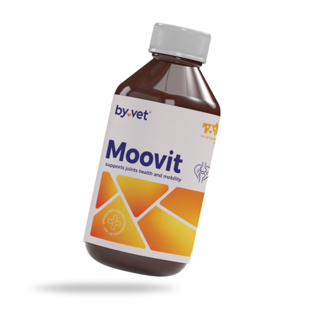 Moovit – suplement na zdrowe stawy zwierząt