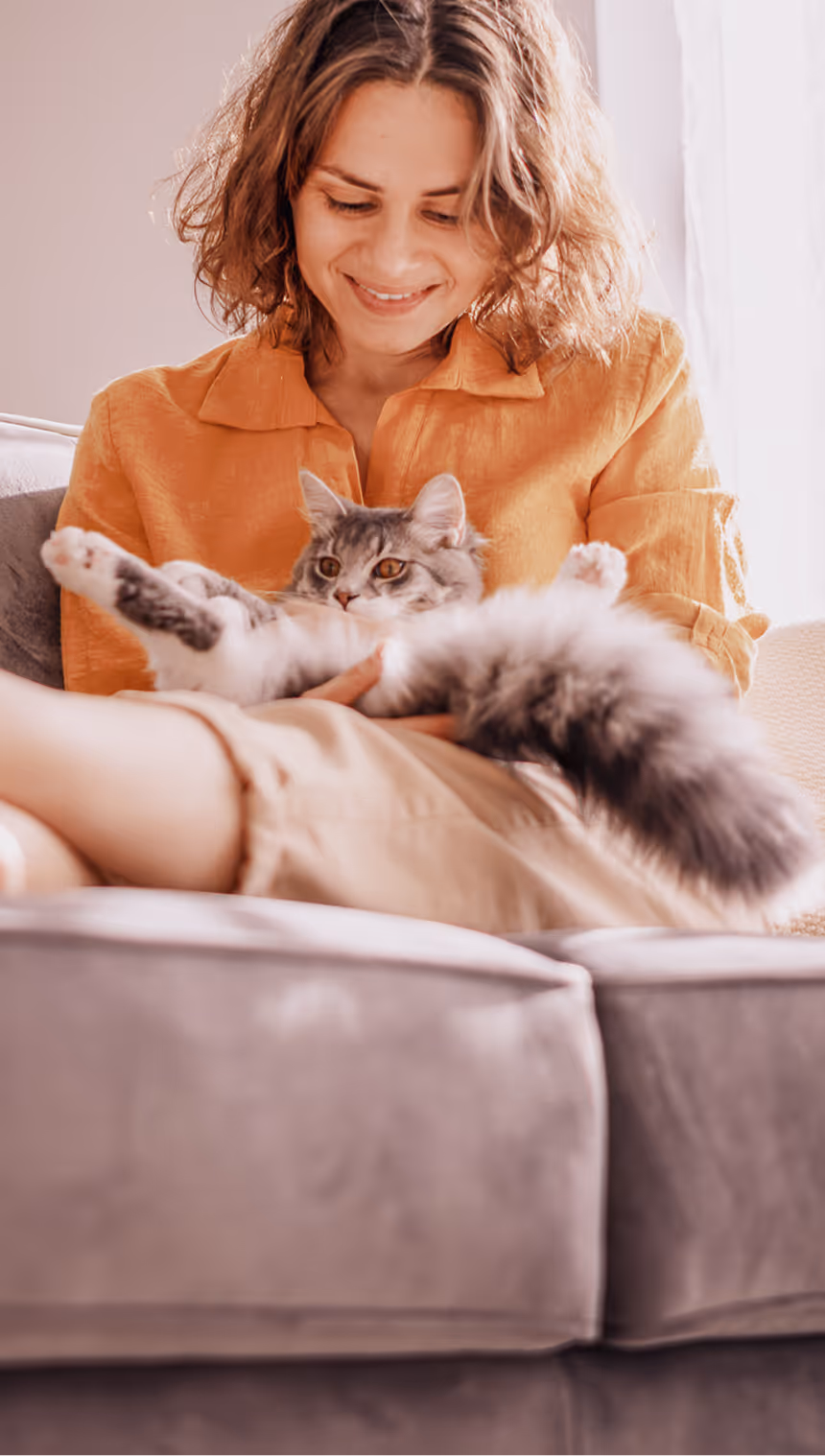 Kot po nowoczesnym suplemencie